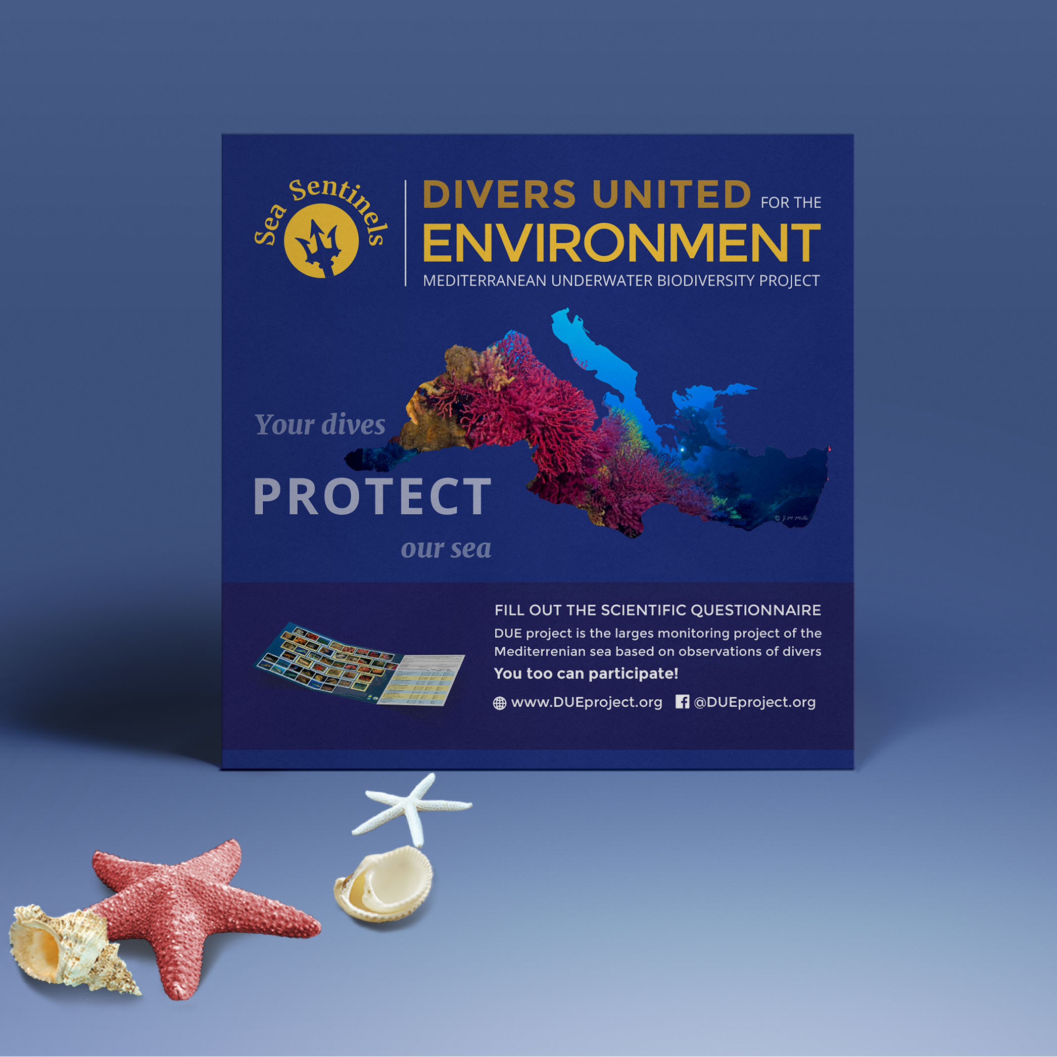 Enviormental project